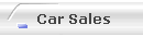 Car Sales